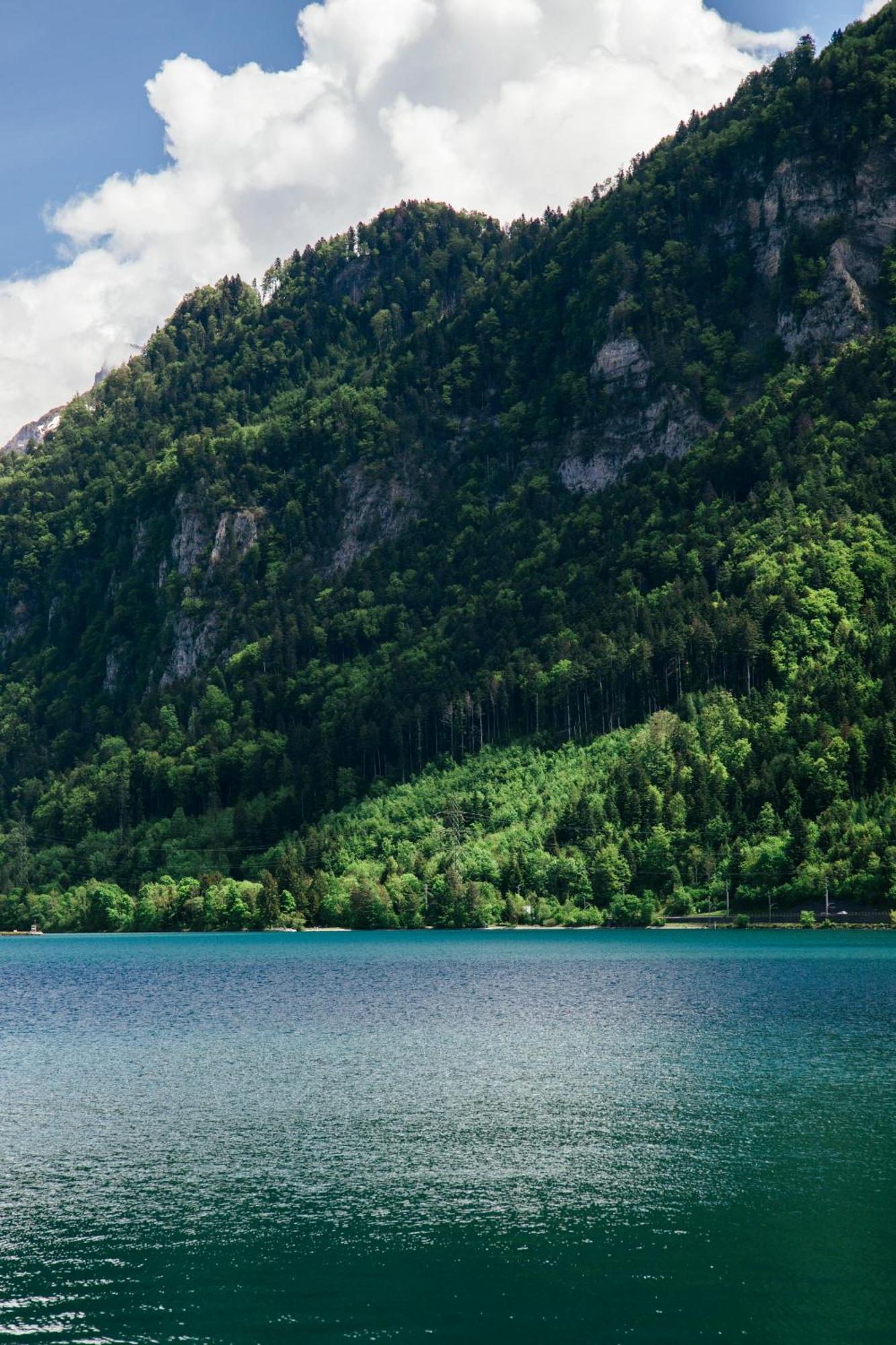 Au Bord Du Lac Därligen 외부 사진