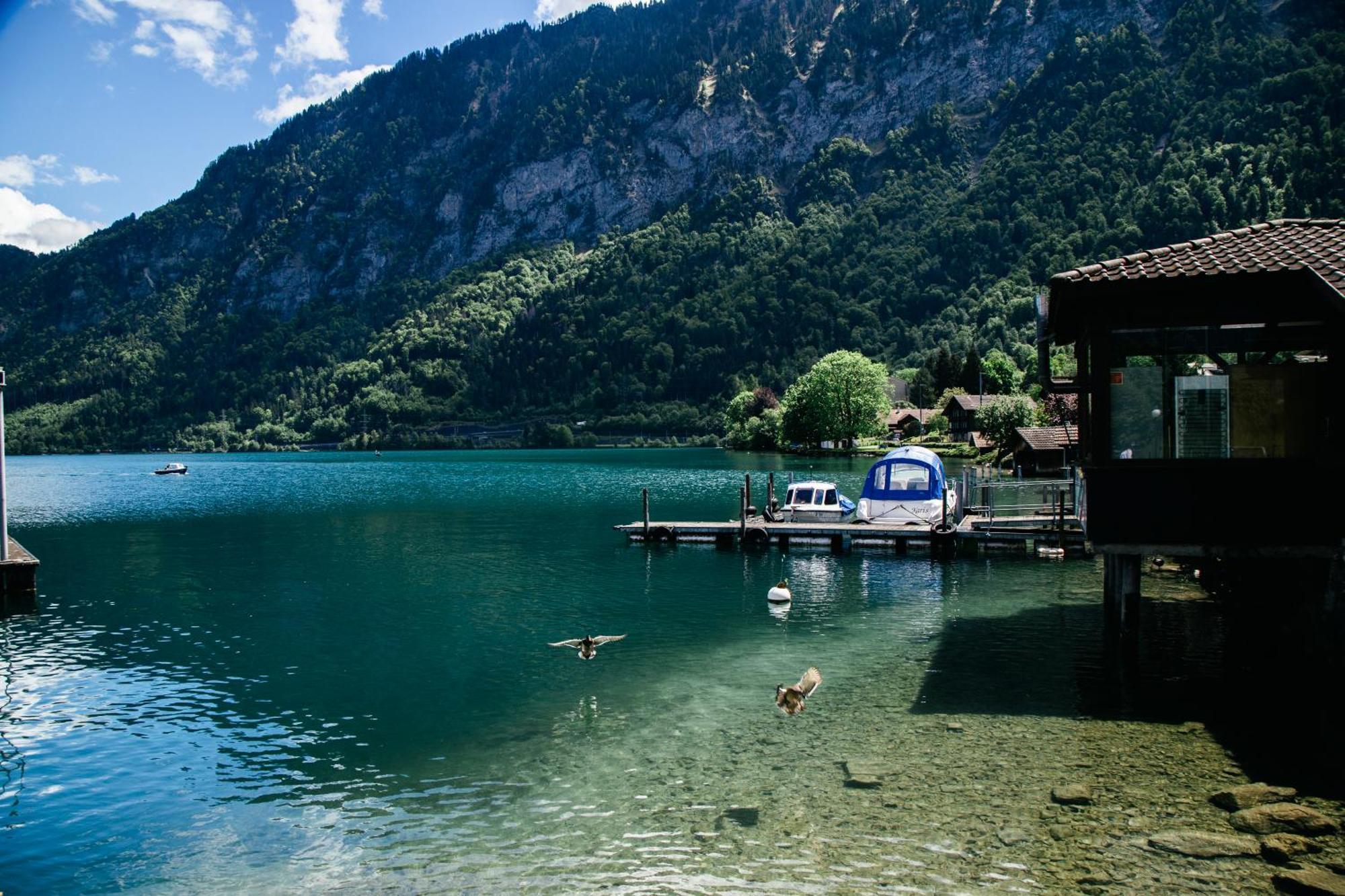 Au Bord Du Lac Därligen 외부 사진